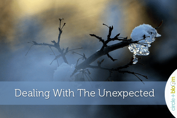 Dealing With The Unexpected