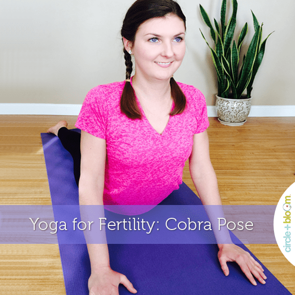 CB_yogafertility_cobra
