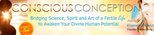 Free Conscious Conception Telesummit