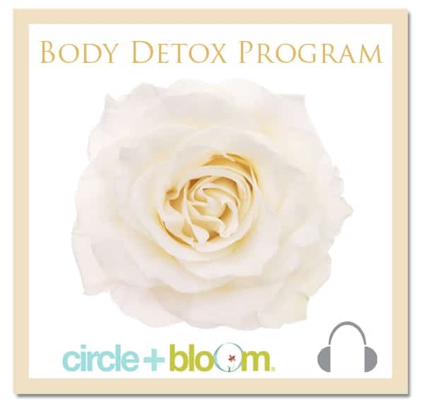 Circle + Blom Body Detox Visualization