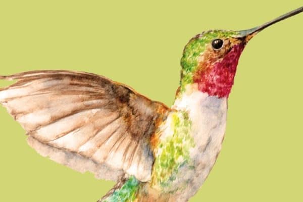 How Can Guided Visualization Help My Body Heal