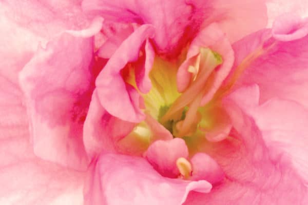 Change Your Life With This 1 Simple Step