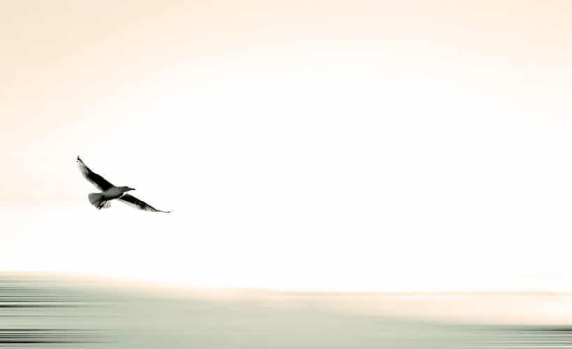 National Infertility Awareness Week 2016 – #StartAsking & A gift from Circle+Bloom