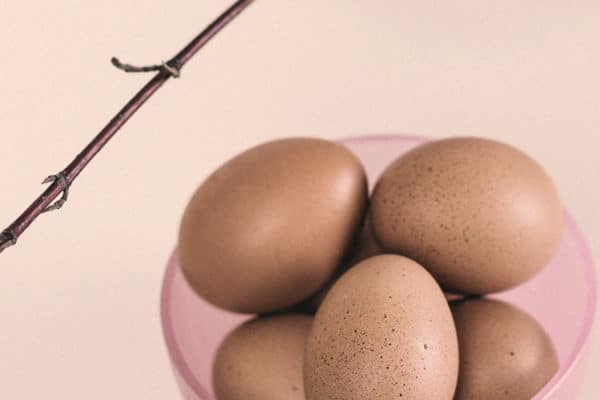 Unexplained Infertility, Crohn’s Disease and Egg Donor Success Story