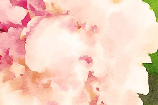 The Journey of Creating a Gratitude List