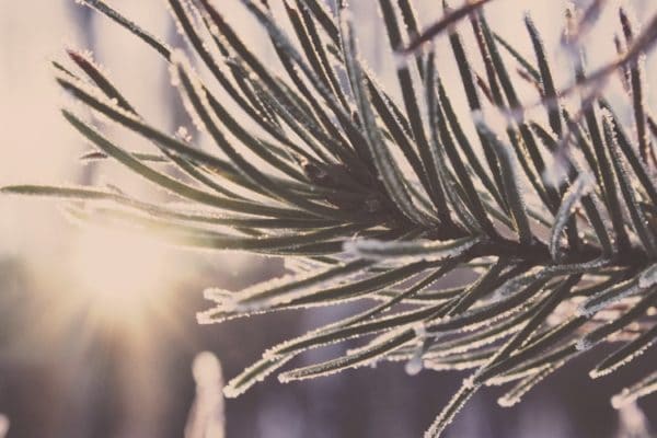 Do The Holidays Get You Down