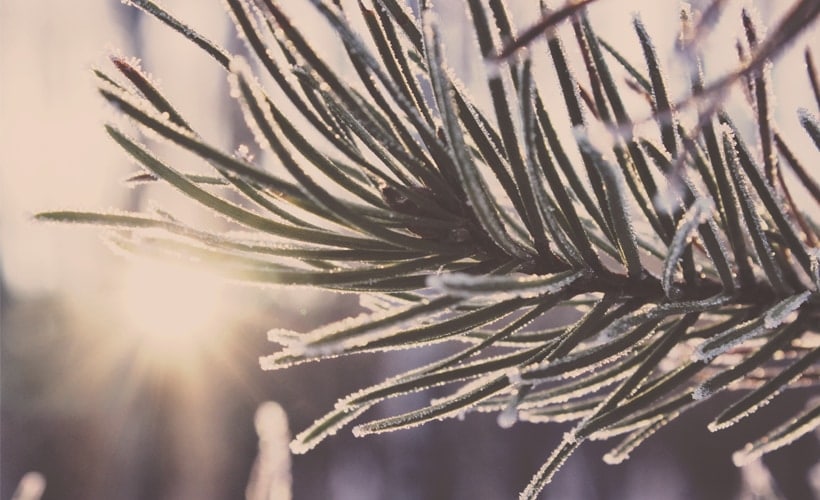 Do The Holidays Get You Down?