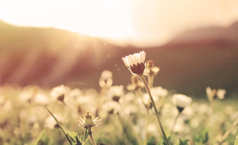 Will 2017 Be Your Best Year Ever?