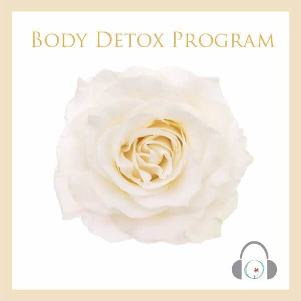 Body Detox Program