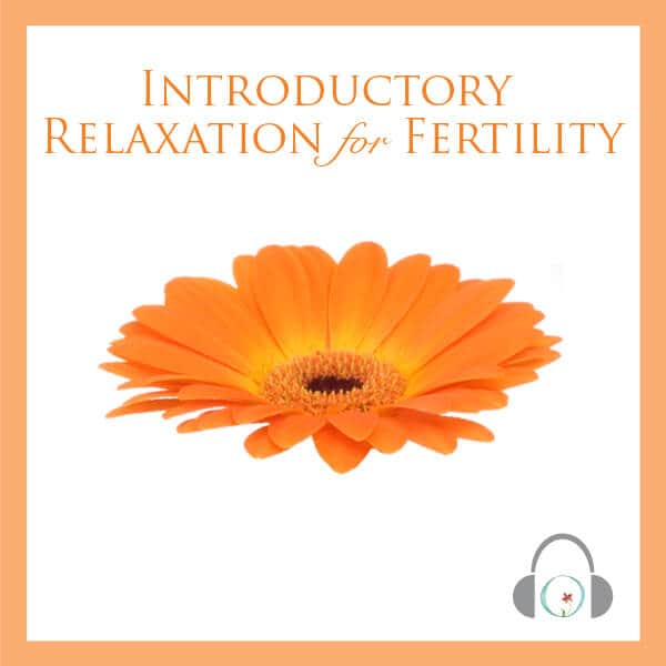 Free Fertility Relaxation Program