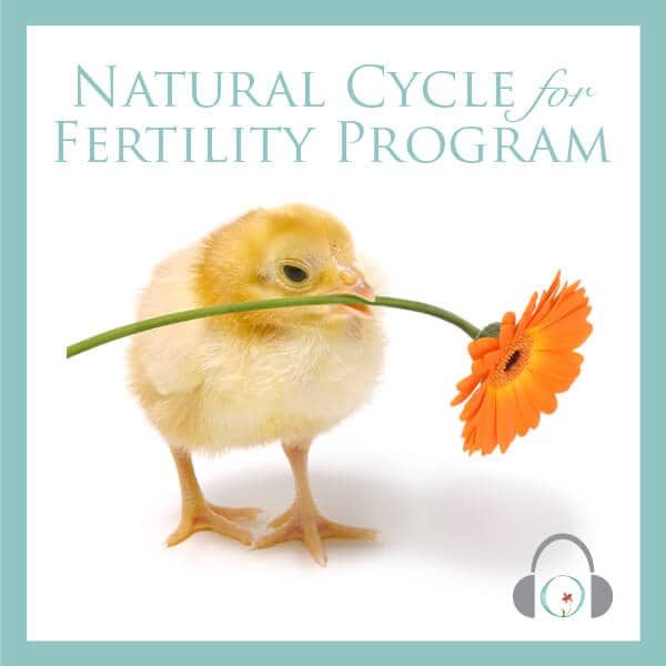 Natural Cycle for Fertility Program