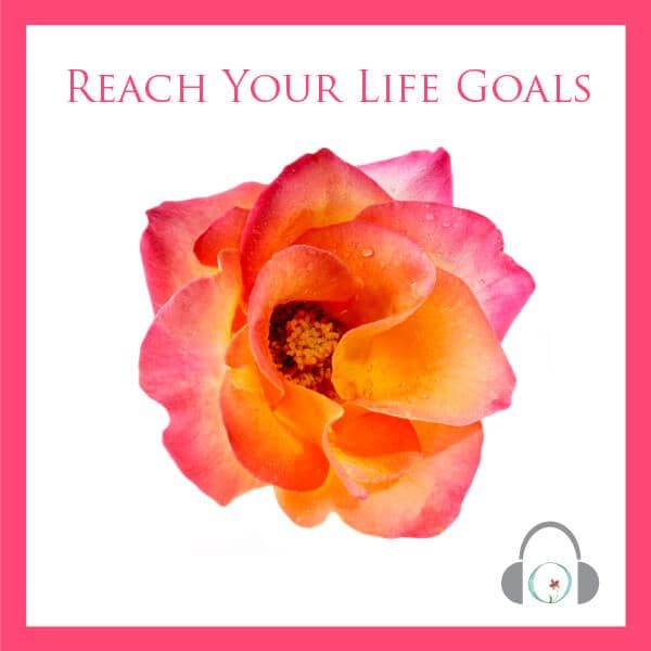 Reach Your Life Goals