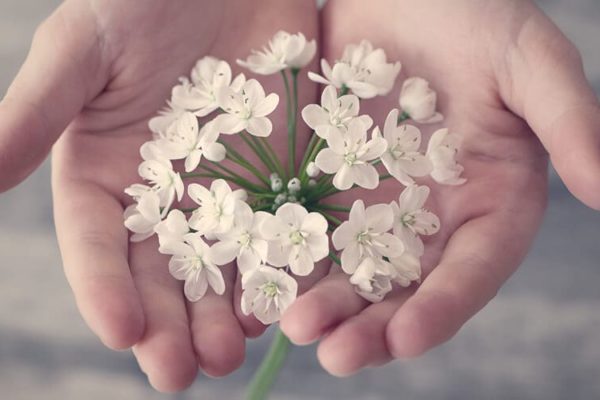 5 National Organizations That Offer Infertility Treatment Funding