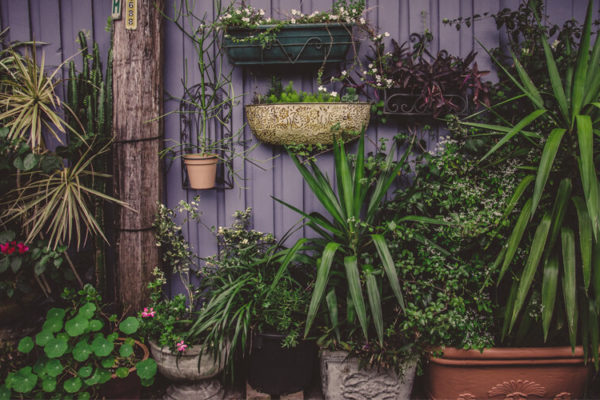 Feeling Stressed - Create Your Own Meditation Garden