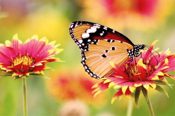 Could You Use Some Awesome Inspiration