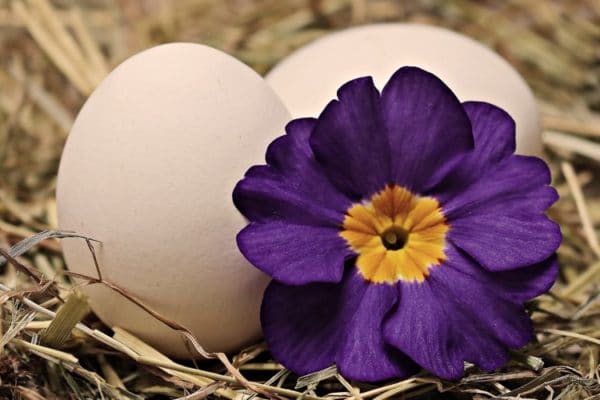 Thinking about an IVF? Here is your Primer.jpg Thinking about an IVF? Here is your Primer.psd Thinking about an IVF? Here is your Primer