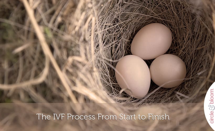 The IVF Process From Start to Finish