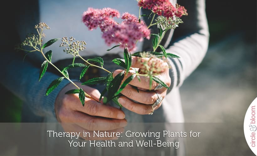 Therapy in Nature- Growing Plants for Your Health and Well-Being