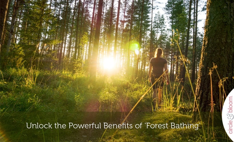 Unlock the Powerful Benefits of 'Forest Bathing'
