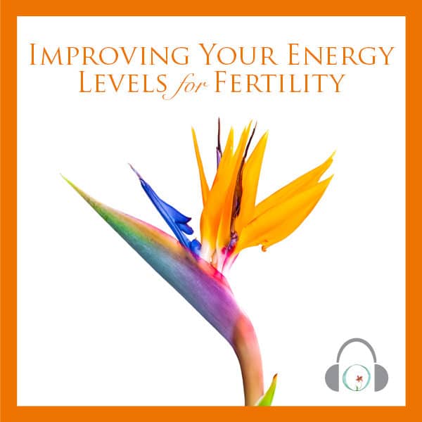 Improving Your Energy Levels For Fertility