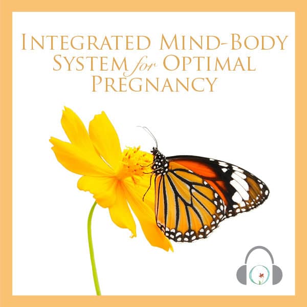 Integrated Mind Body System for Optimal Pregnancy