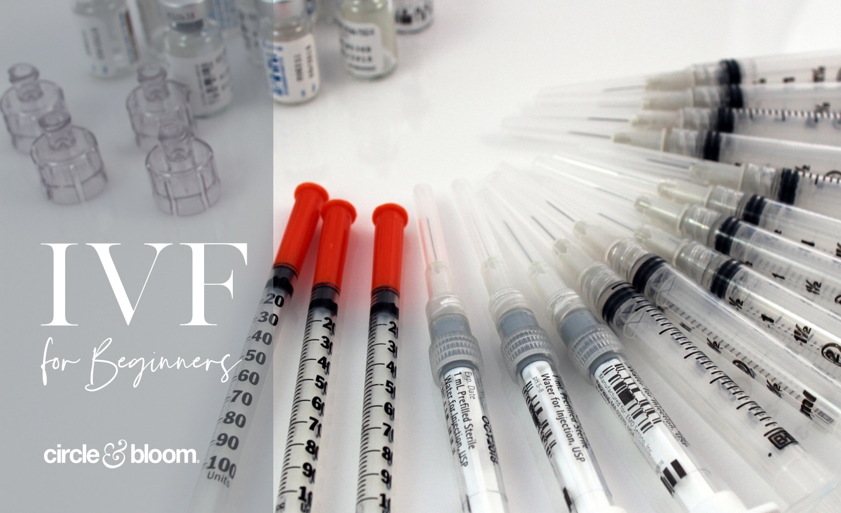 IVF for Beginners