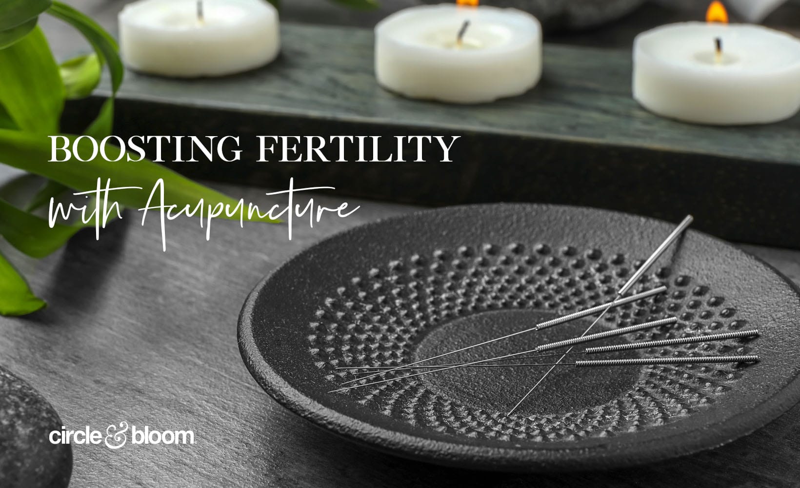 Boosting Fertility with Acupuncture