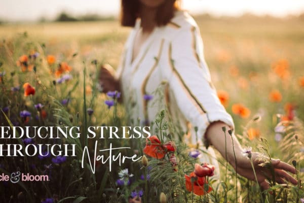 Reducing Stress through Nature