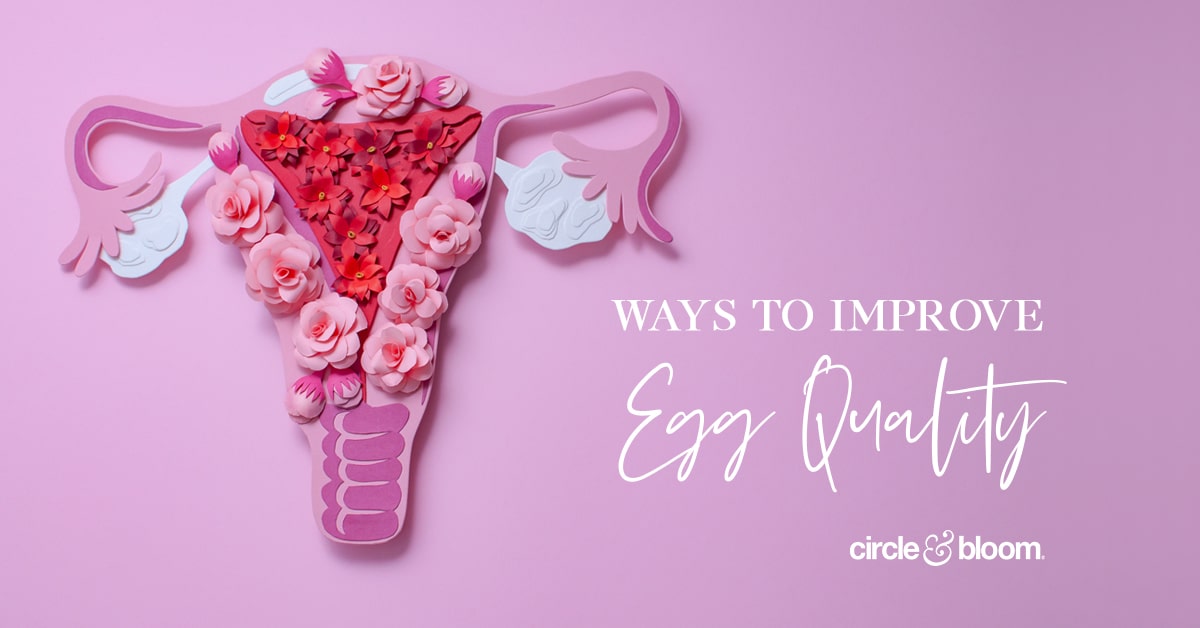 3 Overlooked Ways to Improve Egg Quality