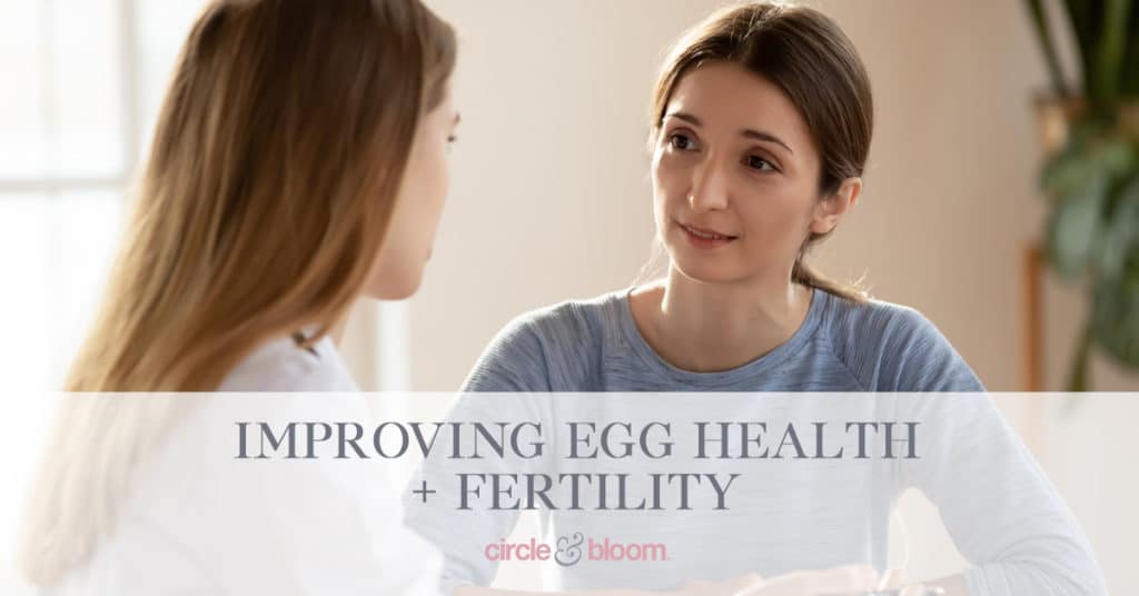 3 Ways To Improve Your Egg Health and Fertility