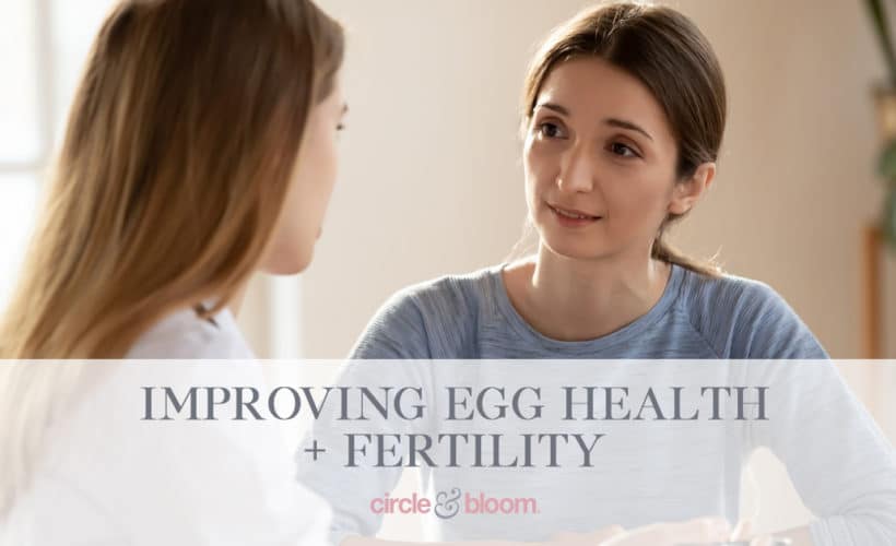 3 Ways To Improve Your Egg Health and Fertility