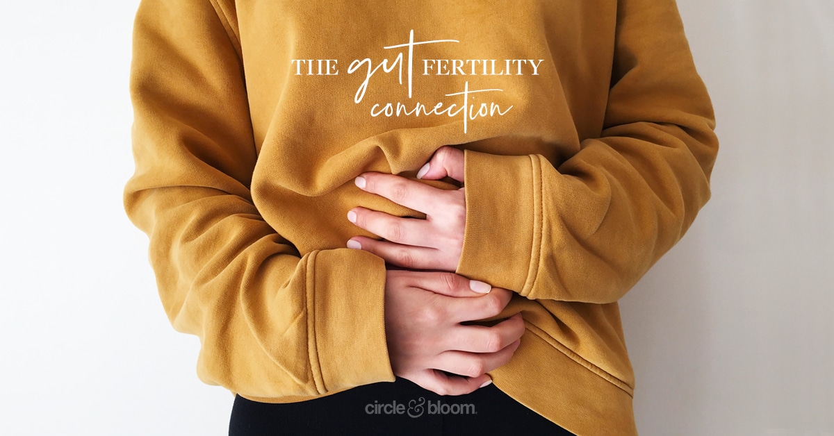 The Gut Fertility Connection