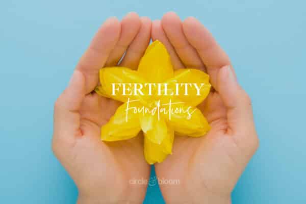Fertility Foundations: Have you covered all of the Fertility Basis?