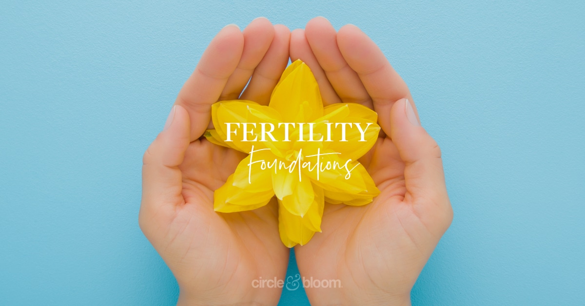 Fertility Foundations: Have you covered all of the Fertility Basis?