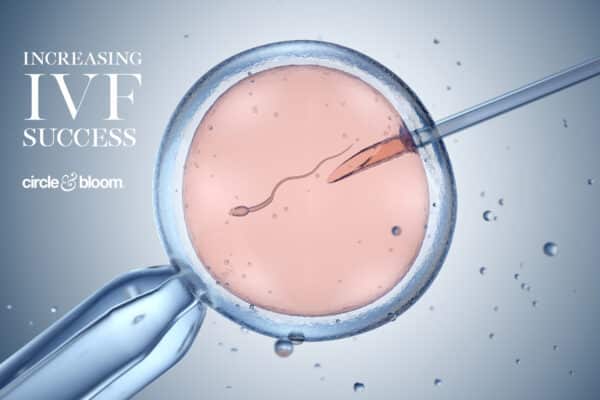 How to Increase the Likelihood of IVF Success the First Time 