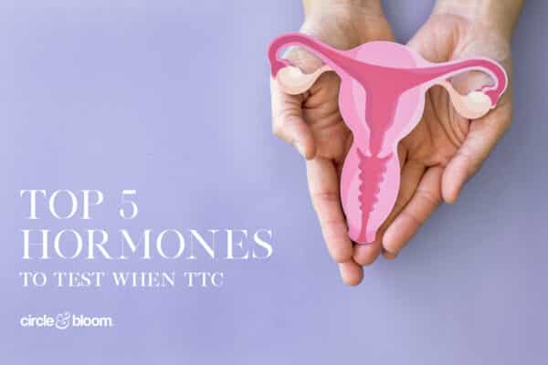 Top 5 Hormones to Test when TTC