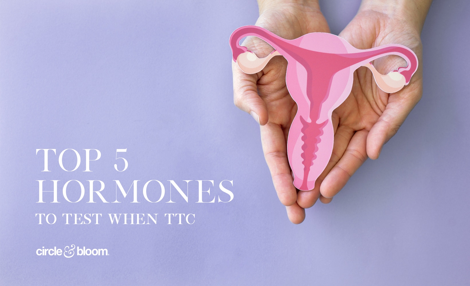 Top 5 Hormones to Test when TTC