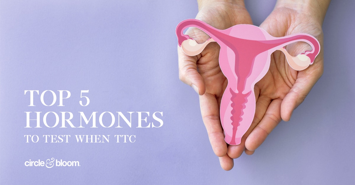 Top 5 Hormones to Test when TTC