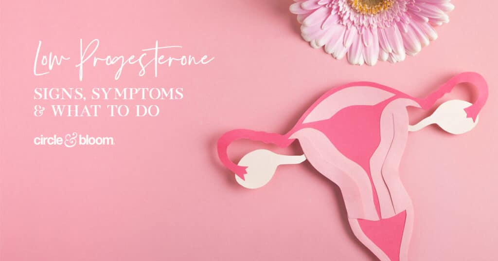 Low Progesterone &ndash; Signs, Symptoms & What To Do