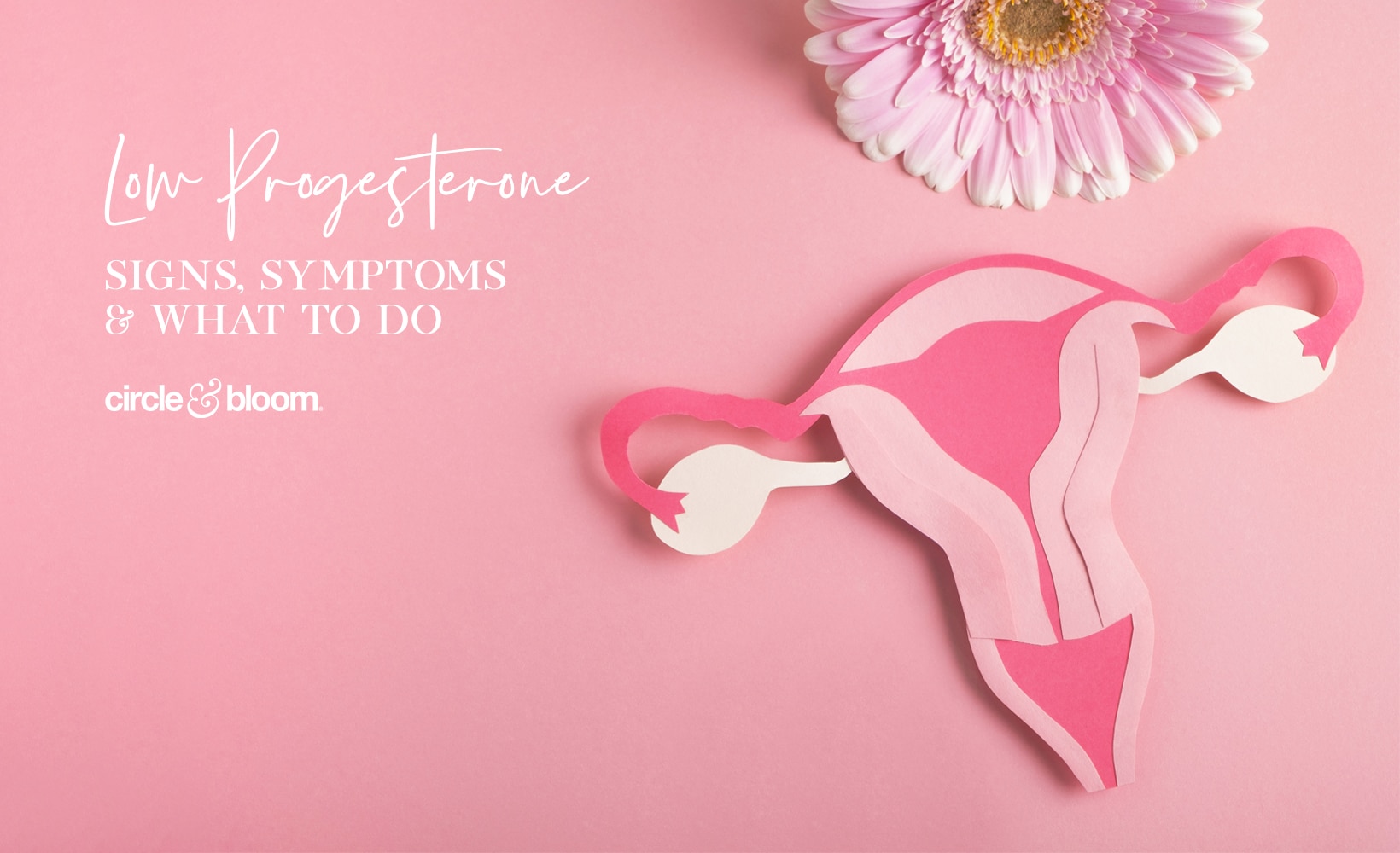 Low Progesterone – Signs, Symptoms & What To Do