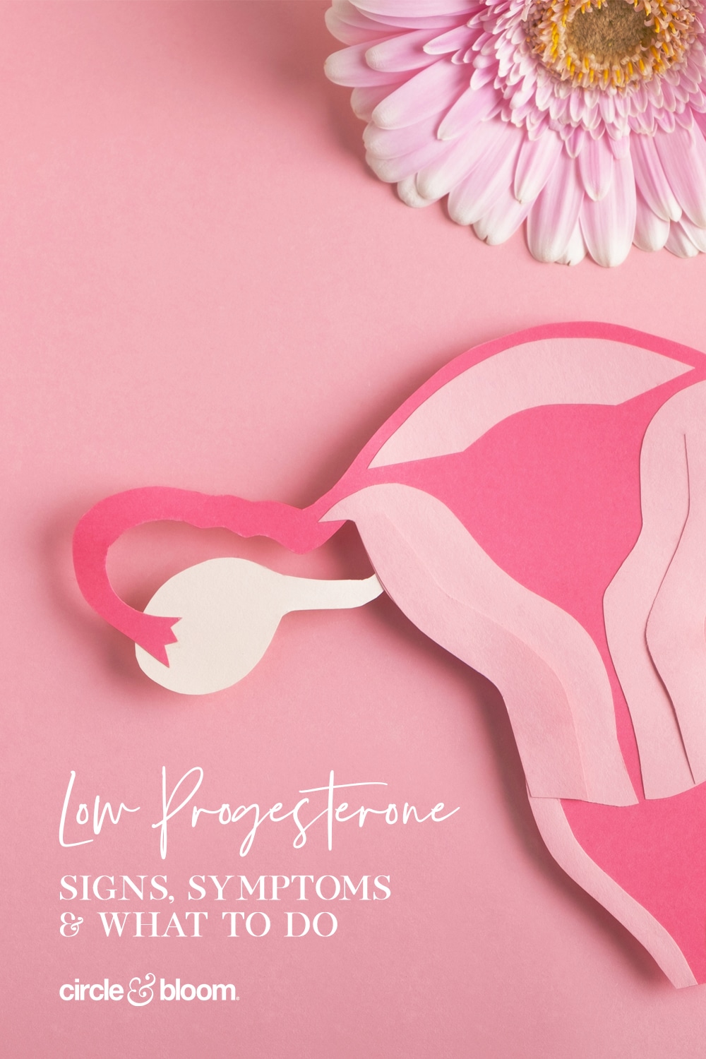 Low Progesterone – Signs, Symptoms & What To Do